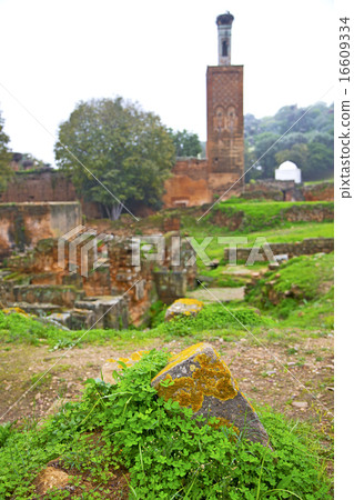 chellah in morocco africa the old roman blur chellah in morocco africa the old roman blur 16609334