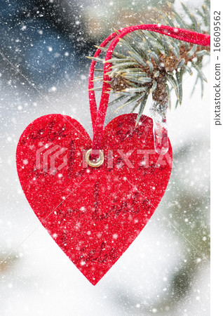heart at snow on tree heart at snow on tree 16609562
