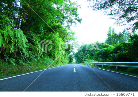 Nipporingu Parkway of fresh green Nipporingu Parkway of fresh green 16609771