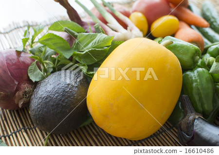 Cum suppous 16610486