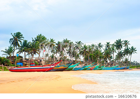 Fisherman village, Sri Lanka 16610676