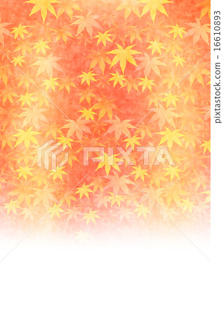 Maple autumn leaves background Maple autumn leaves background 16610893