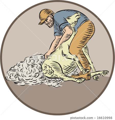 Farmworker Shearing Sheep Circle Etching Farmworker Shearing Sheep Circle Etching 16610998