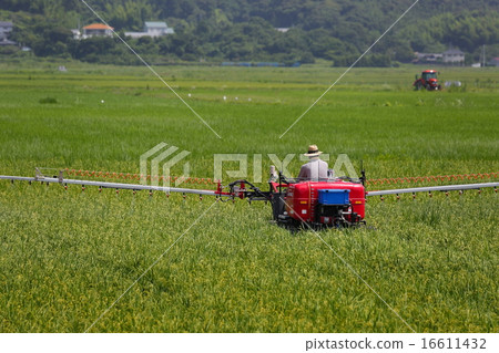 農用化學品 農用化學品 16611432