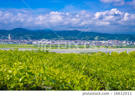 The streets of Oimawa and Shimada 16612011