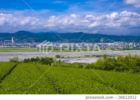 The streets of Oimawa and Shimada 16612012