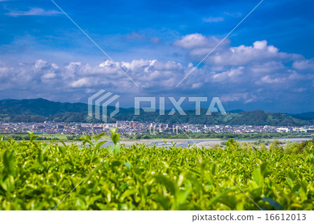 The streets of Oimawa and Shimada The streets of Oimawa and Shimada 16612013