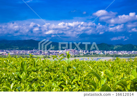 The streets of Oimawa and Shimada 16612014