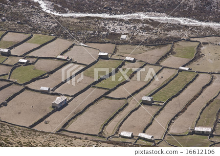 High Altitude Farming 16612106