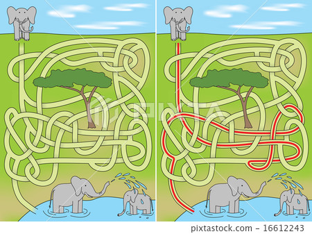 Elephant maze Elephant maze 16612243