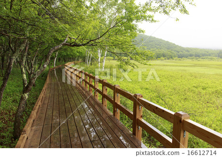 日光市栃木縣雨Odashihara 7月 16612714