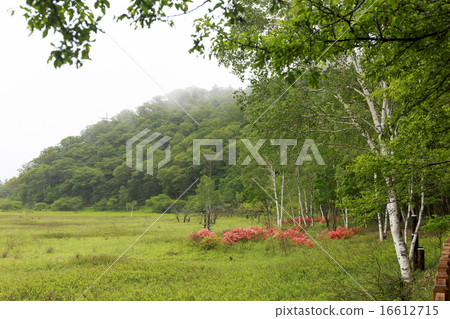 日光市栃木縣雨Odashihara 7月 16612715