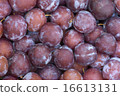 Plums 16613131