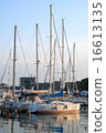 Sailing yachts at harbor 16613135