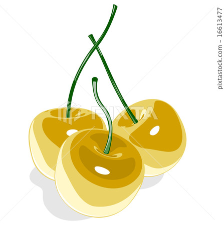 Yellow sweet cherry isolated on white 16613477