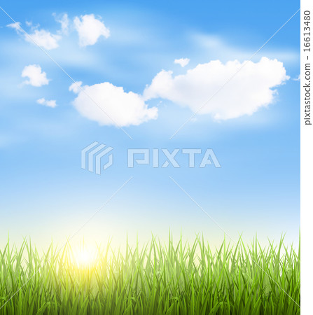Grass lawn with clouds and sun on blue sky 16613480