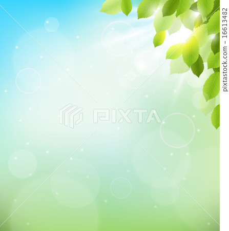 Tree foliage with sunlight on sky. Nature spring 16613482