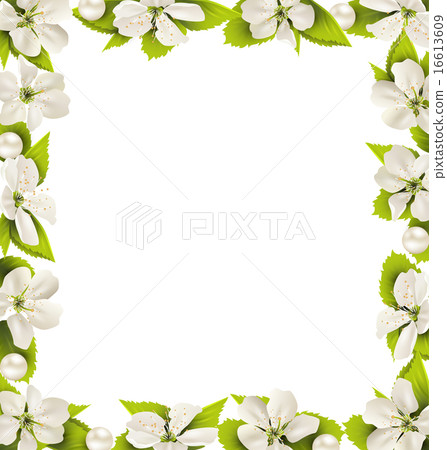 Cherry flowers with pearl beads like frame Cherry flowers with pearl beads like frame 16613609