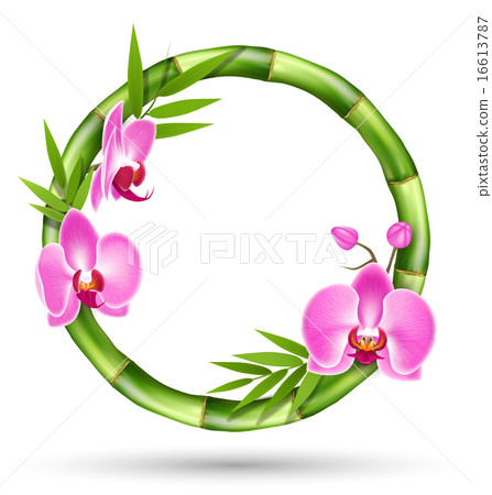 Green Bamboo Circle Frame with Pink Orchid Flowers 16613787