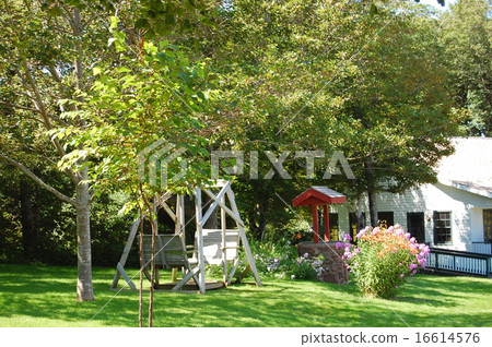 Backyard swings 16614576
