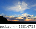 A swan swan that flies above the clouds in the morning glow off Kujukuri 16614738