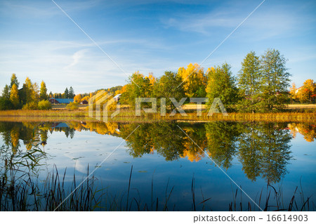 Calm water autumn nature reflection Calm water autumn nature reflection 16614903