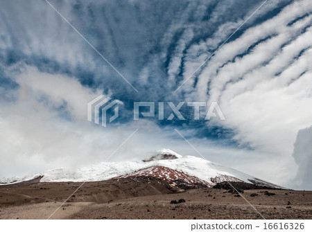 Cotopaxi volcano over the plateau 16616326