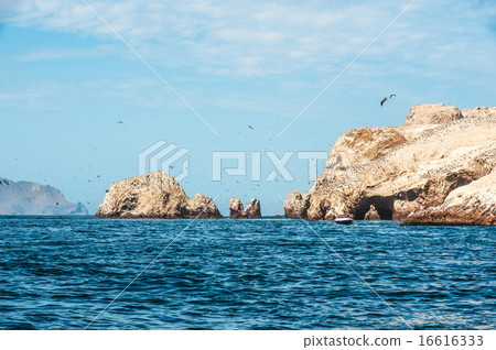 Ballestas Islands, Paracas National Reserve 16616333