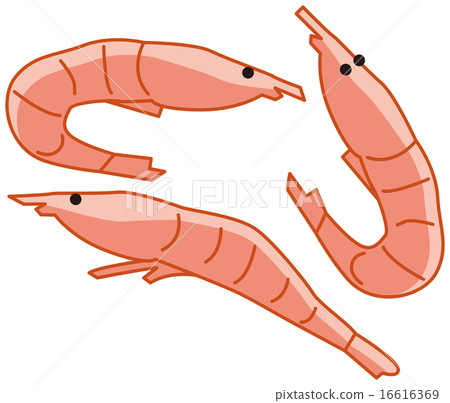 乾蝦 乾蝦 16616369