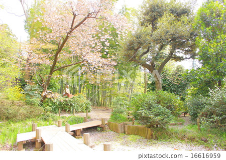 惠美公園 惠美公園 16616959