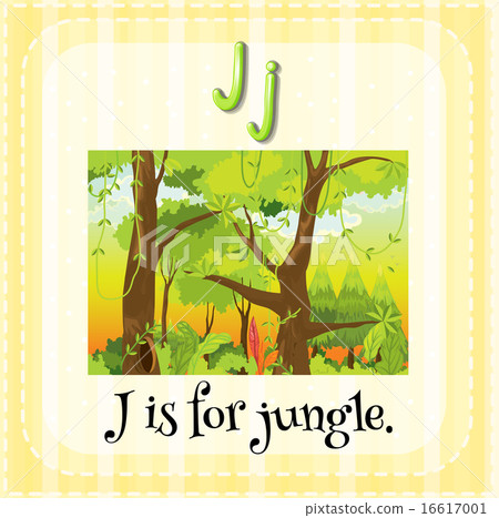 Jungle Jungle 16617001