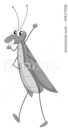 Grasshopper Grasshopper 16617006
