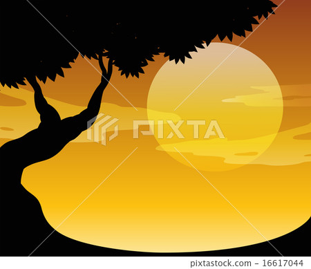 Sunset Sunset 16617044