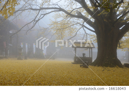 Mountain temple of fog 16618043