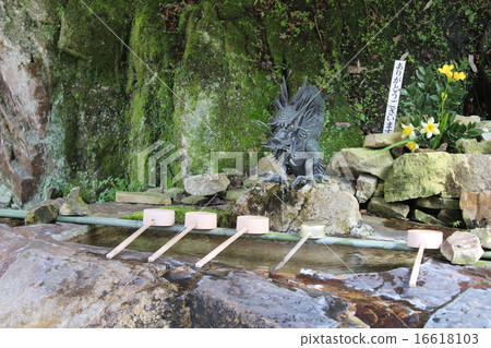 Dragon's mouth Dragon's mouth 16618103