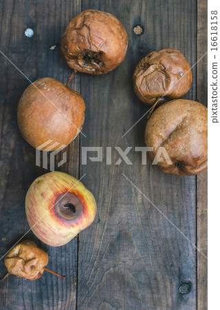Rotten apples on wood Rotten apples on wood 16618158