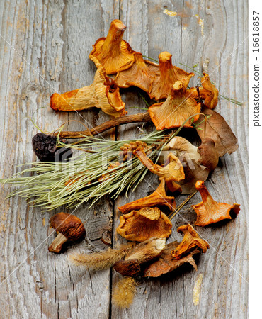 Dried Mushrooms 16618857