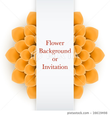 Greeting card or background with orange flower Greeting card or background with orange flower 16619498