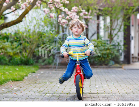 Beautiful toddler child driving his first bike or laufrad Beautiful toddler child driving his first bike or laufrad 16619952