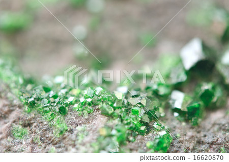 Uvarovite is a chromium-bearing garnet. Macro. Uvarovite is a chromium-bearing garnet. Macro. 16620870