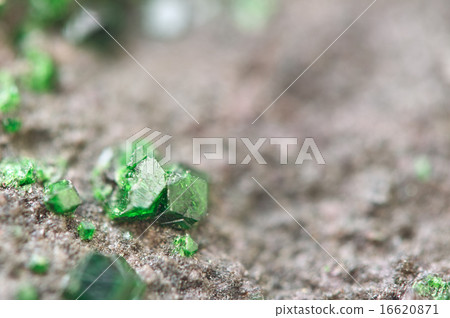 Uvarovite is a chromium-bearing garnet. Macro. Uvarovite is a chromium-bearing garnet. Macro. 16620871