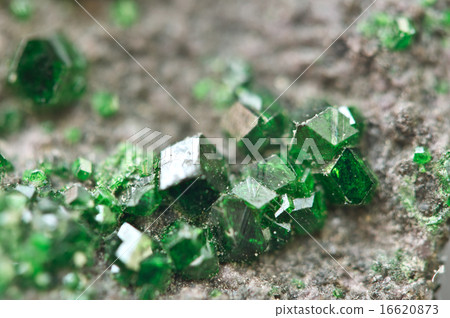 Uvarovite is a chromium-bearing garnet. Macro. 16620873