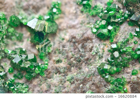 Uvarovite is a chromium-bearing garnet. Macro. Uvarovite is a chromium-bearing garnet. Macro. 16620884