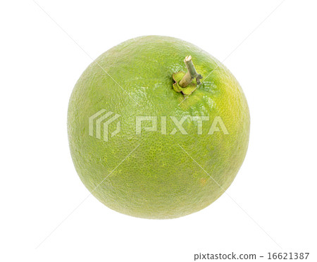 sweet fresh green grapefruit isolated on white sweet fresh green grapefruit isolated on white 16621387