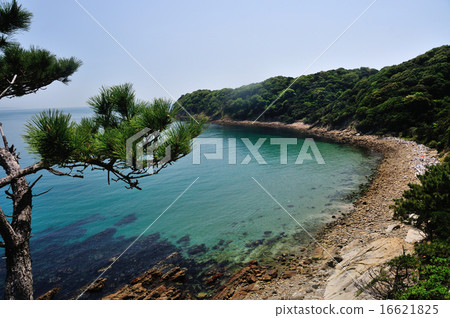 Coast of Tomigagashima Coast of Tomigagashima 16621825