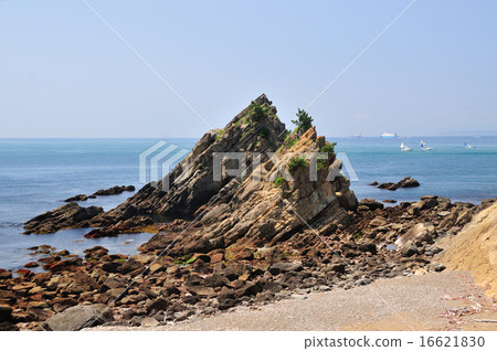 Tomogashima Kozumatsu海岸 Tomogashima Kozumatsu海岸 16621830