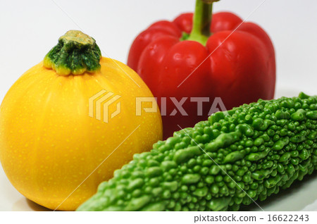 夏季蔬菜 夏季蔬菜 16622243