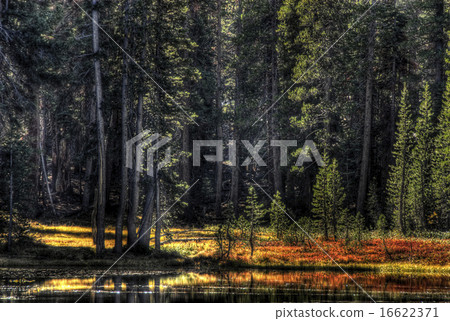 Autumn in Toulmne Meadows 16622371