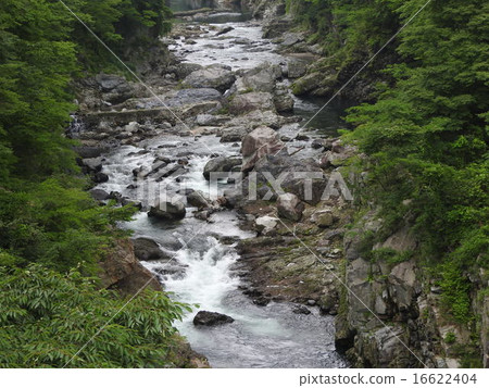 It is a must-see for the seasonal change of nature and the magnificent view of the Kinugawa gorge. 16622404