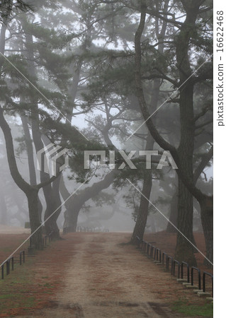Kanonji市有明海灘覆蓋著濃霧Kanonpo公園“Kanonji寺廟Matsubara 16622468